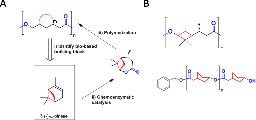 Novel polymers