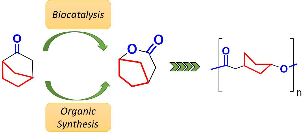 TOC Farhat et al 2019