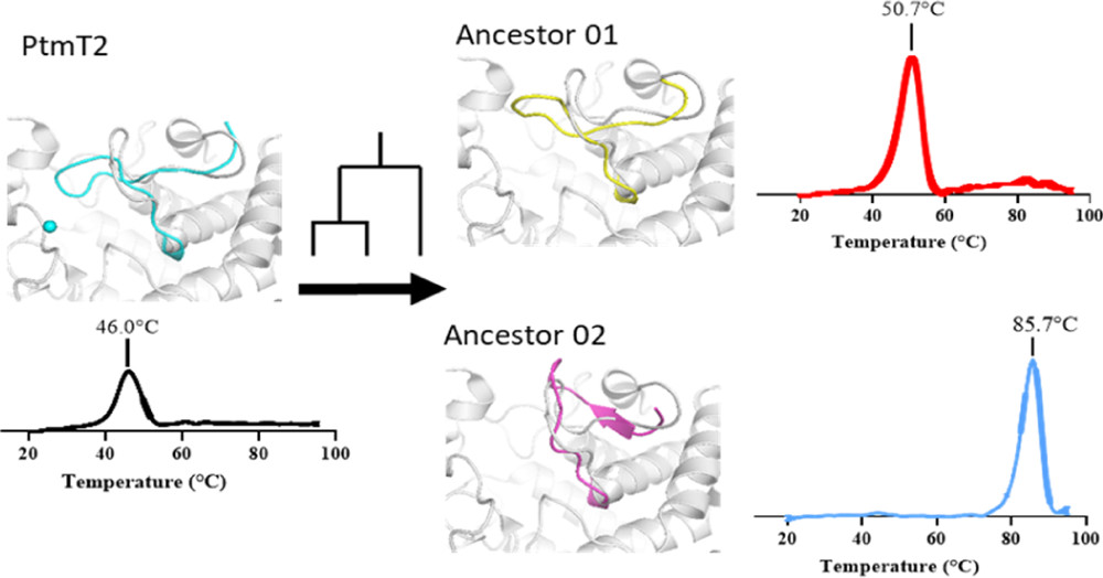 Microsoft Word - jp1c10605